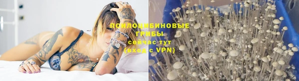 спиды Нягань