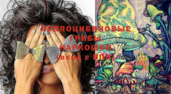 дмт Няндома