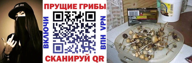 OMG ТОР Красавино Галлюциногенные грибы Psilocybine cubensis купить сайты